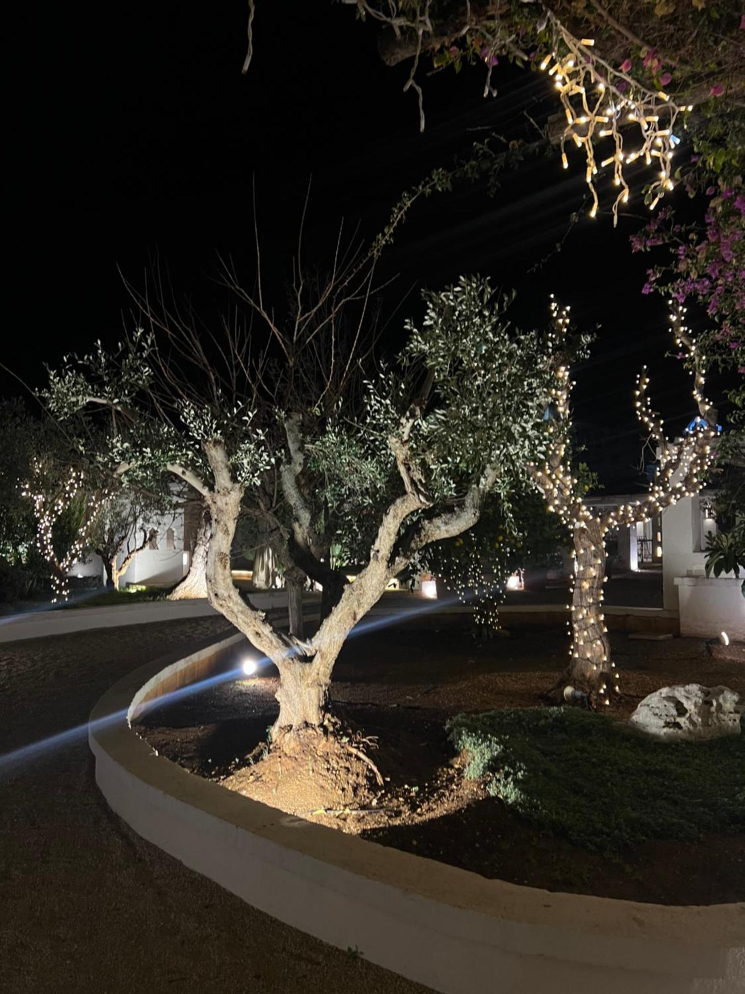 Masseriola Antiche Fogge By Apulia Hospitality Fasano Exteriör bild